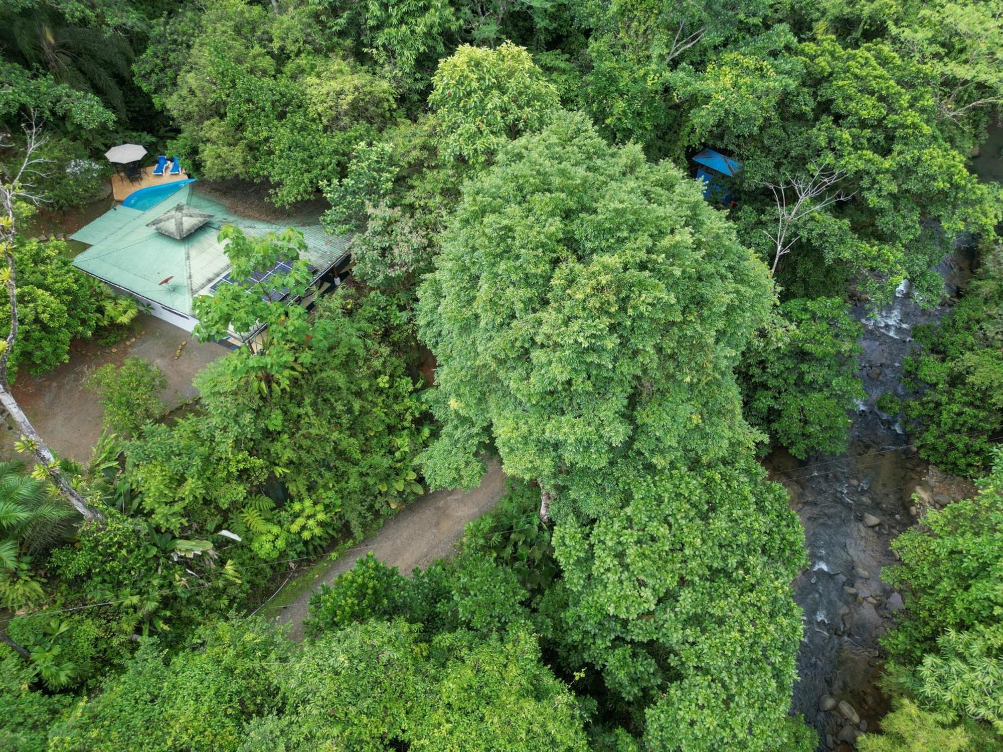 Casa Cedro - Portasol Vacation Rentals Matapalo  Dış mekan fotoğraf