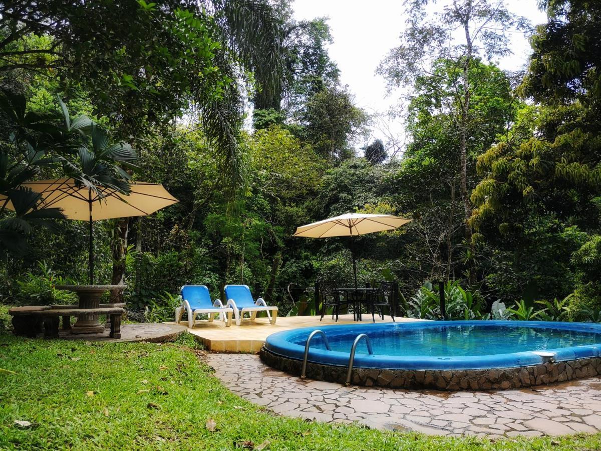 Casa Cedro - Portasol Vacation Rentals Matapalo  Dış mekan fotoğraf